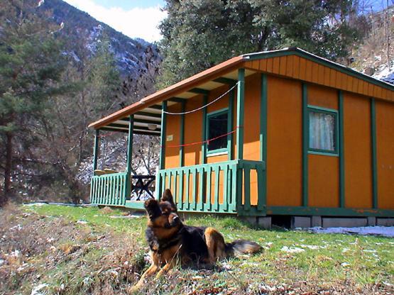 Chalet-Bungalow Ombrage Escaro Ngoại thất bức ảnh