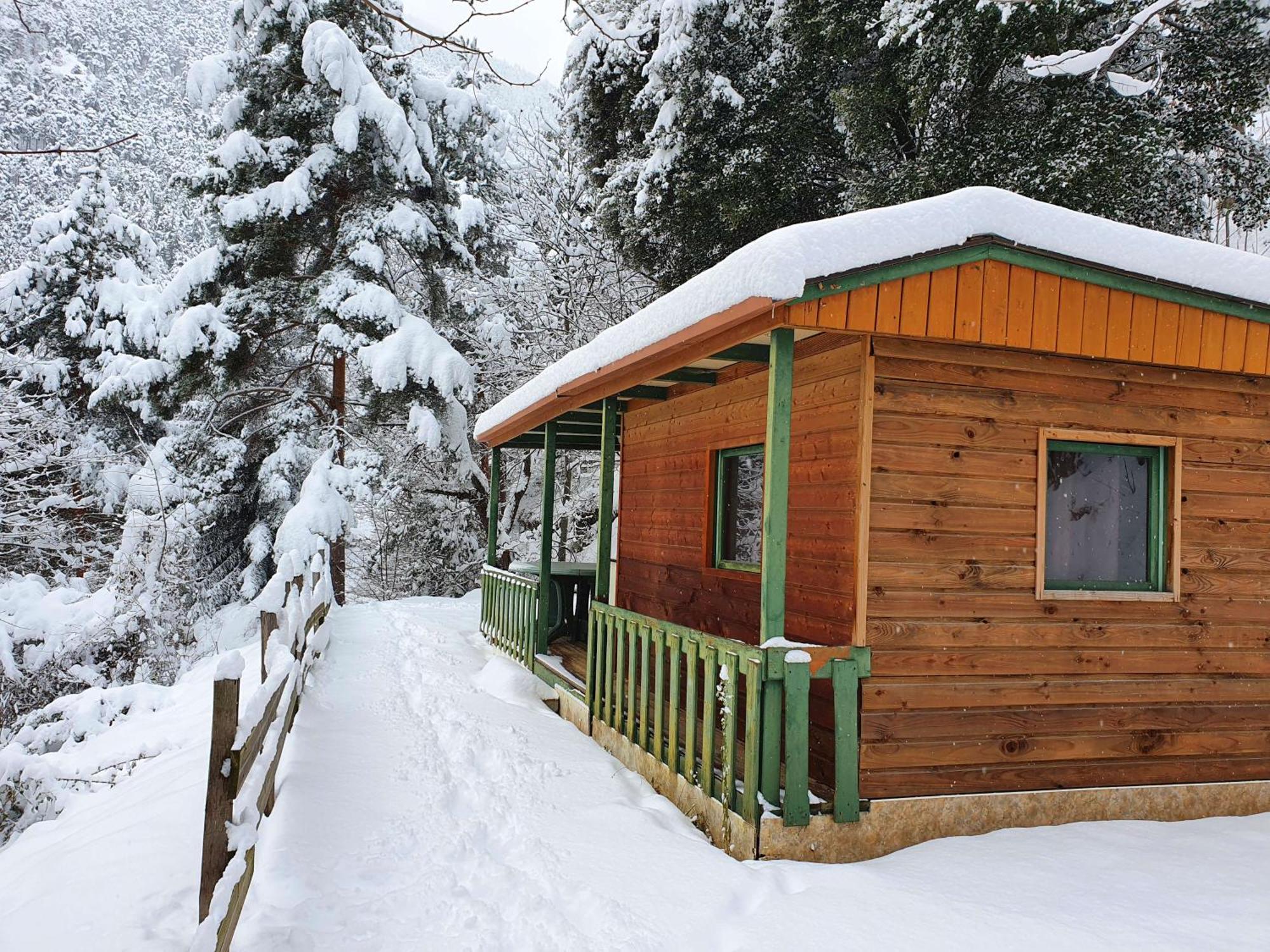 Chalet-Bungalow Ombrage Escaro Ngoại thất bức ảnh